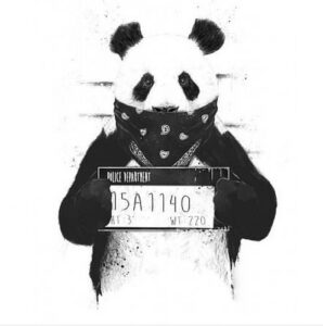 Panda (Eduardo Bangzz X Aldo F X Villa-Boy-C X 3va$ Énimos) 2016