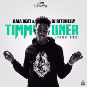 Gaia Beat & Dj Ritchelly - Desiigner Tiimmy Turner [Afro Beat] (Remix)