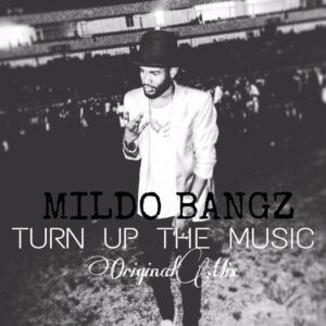 Mildo Bangz - Turn Up The Music (Original Mix) 2017