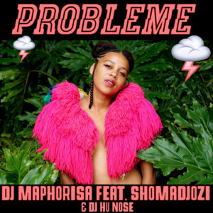 Dj Maphorisa feat. Shomadjozi & Dj Hu Nose - Probleme (Afro House) 2017