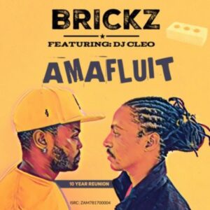 Brickz feat. DJ Cleo - Amafluit (Kwaito) 2017