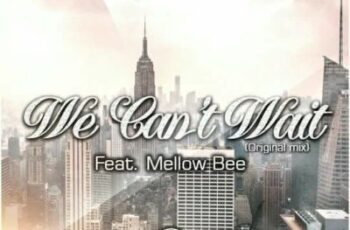 DJ Ace SA feat. Mellow Bee – We Can’t Wait (Afro House) 2017