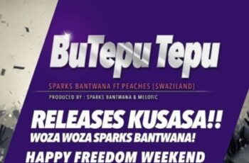 Sparks Bantwana feat. Peaches – BuTepu Tepu (Afro House) 2017