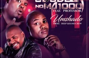 Sdudla Noma1000 feat. Professor – Umshado (Afro House) 2017