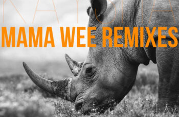 Kaysha – Mama Wee (Djeff Afrozila Remix) 2017