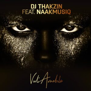 DJ Thakzin feat. NaakMusiQ - Vul’Amehlo (Afro House) 2018