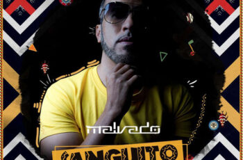 Dj Malvado Feat. Robertinho & Vado Poster – Sanguito (Afro Mix)