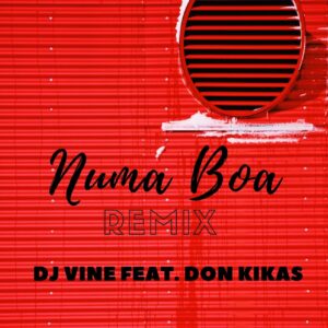 Dj Vine feat. Don Kikas - Numa Boa (Remix)