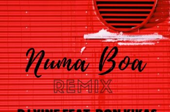 Dj Vine feat. Don Kikas – Numa Boa (Remix)