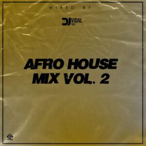 Dj Vidal Mix - Afro House Mix Vol.2