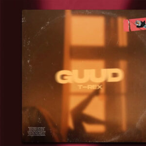 Toy Toy T-Rex - GUUD Bue de Musica Toy Toy T-Rex - GUUD