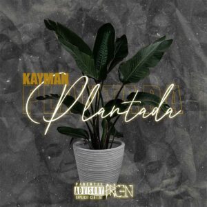 Kayman - Plantada Bue de Musica Kayman - Plantada