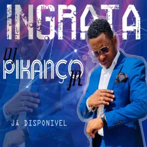 Dj Pikanço JR - Ingrata
