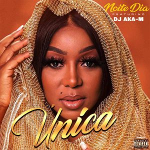 Noite & Dia - Única (feat. DJ Aka-M)