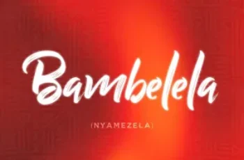 Macfowlen, DJ Stokie & Ntokzin – Bambelela (Nyamezela) (feat. TBO, Moscow on Keys & Rams Da Violinist)