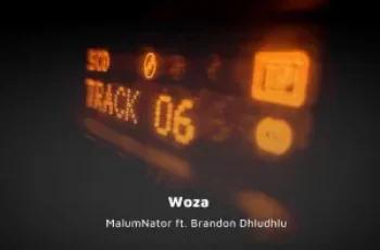 MalumNator – Woza (feat. Brandon Dhludhlu)