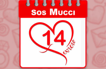 Sos Mucci – 14 Fevrero