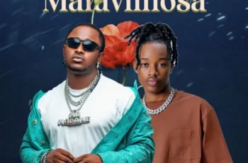 Cleyton David – Conexão Maravilhosa (feat. Fábio Hustle)