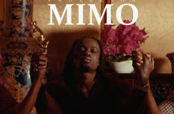Paulelson – MIMO