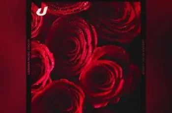 Fernando Gilda – I Love You (feat. Valter Artístico)