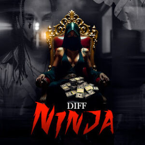 514356552 122192328410286731 3122275356169922901 n Diff - Ninja