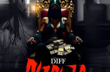 Diff – Ninja