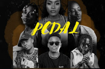 Hidra, Briisa, Sérgio Figura, Luís Valente, Selirasday & Wanessa Mota – Pedale