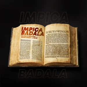 IMG 5164 DJ Kafi & Shilowa – Impicabadala (feat. Mpho Spizzy & C’biya)