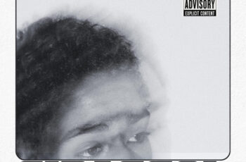 EMMVR – Girassol