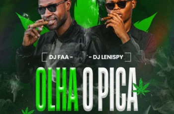 Dj FAA, Dj Lenispy – Olha o Pica
