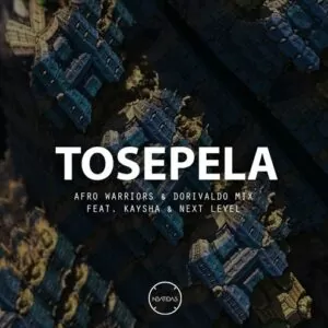 Afro Warriors & Dorivaldo Mix Feat. Kaysha & Next Level - Tosepela