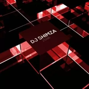 Dj Shimza feat Dr Malinga - Akulalwa (Dj Thakzin Remix) 2016