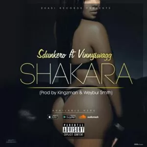 Dj Sdunkero feat. Vinnyswagg - Shakara (Afro House) 2017