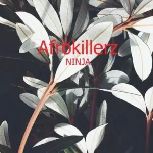 Afrokillerz - Ninja (Afro House) 2017