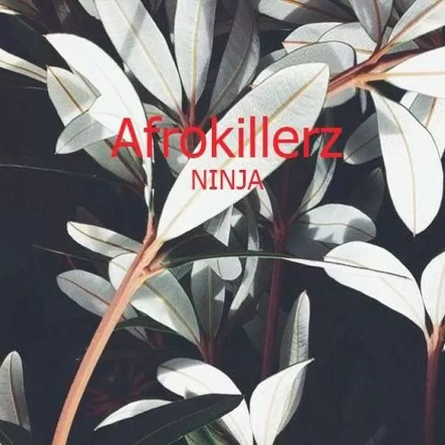 Afrokillerz – Ninja (Afro House) 2017