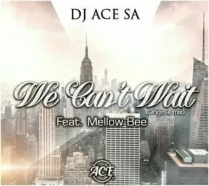 DJ Ace SA feat. Mellow Bee - We Can’t Wait (Afro House) 2017