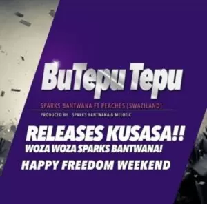 Sparks Bantwana feat. Peaches - BuTepu Tepu (Afro House) 2017