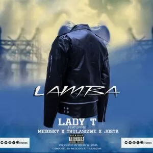 DJ Lady T feat. Thulasizwe & Medosky - Lamba (Afro House) 2017