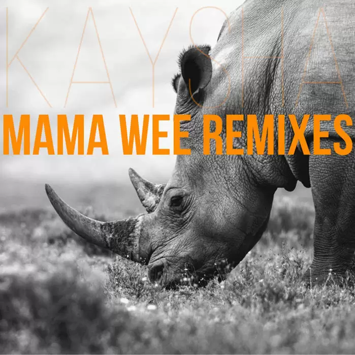 Kaysha – Mama Wee (Djeff Afrozila Remix) 2017