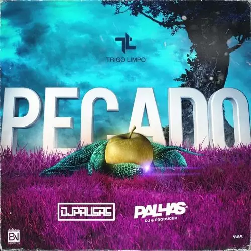 DJ Pausas & DJ Palhas Jr – Pecado (feat. Trigo Limpo) 2018