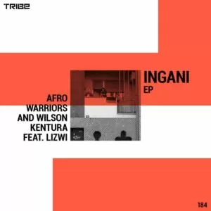 Afro Warriors & Wilson Kentura - Ingani (feat. Lizwi) 2019