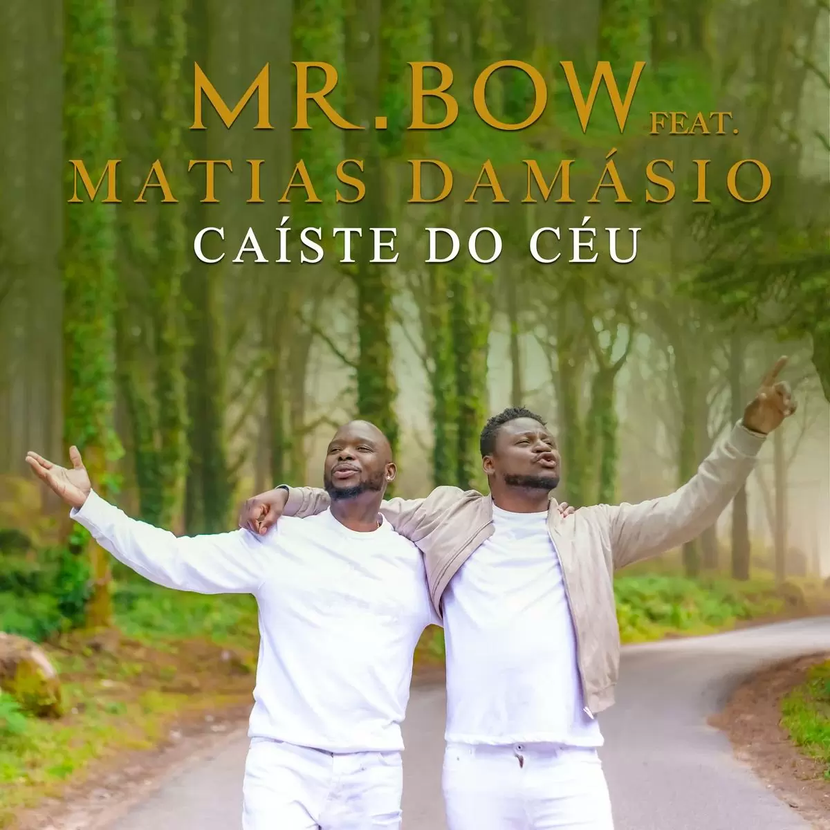 Mr Bow – Caíste do Céu (feat. Matias Damásio) 2020