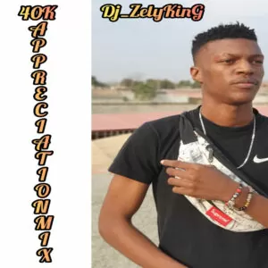 Dj Zelyking - 40K Appreciation Mix