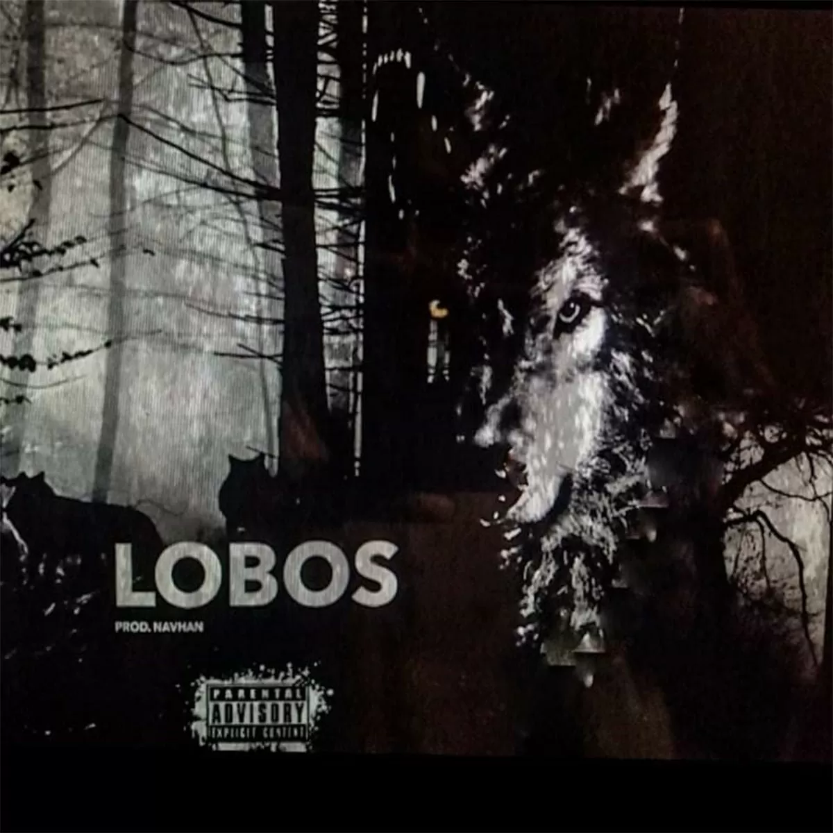 Navhan – Lobos