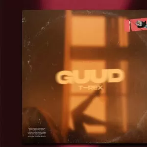 Toy Toy T-Rex - GUUD