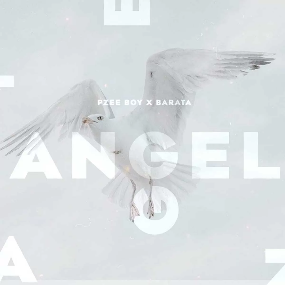 Pzee Boy x Barata – Angel (Original Mix)