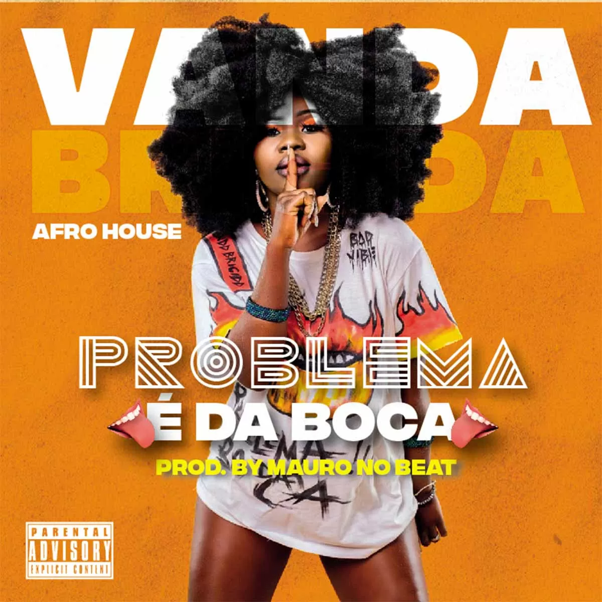 Vanda Brígida – Problema é da Boca