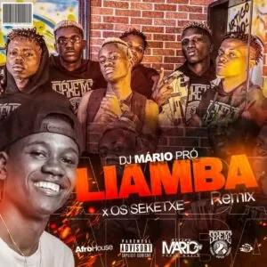 Dj Mário Pro - Liamba Remix (feat. Séketxe)