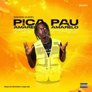 Rosário Clečeu - Pica Pau Amarelo (Prod. Dj Mustard & Dj Taba Mix)