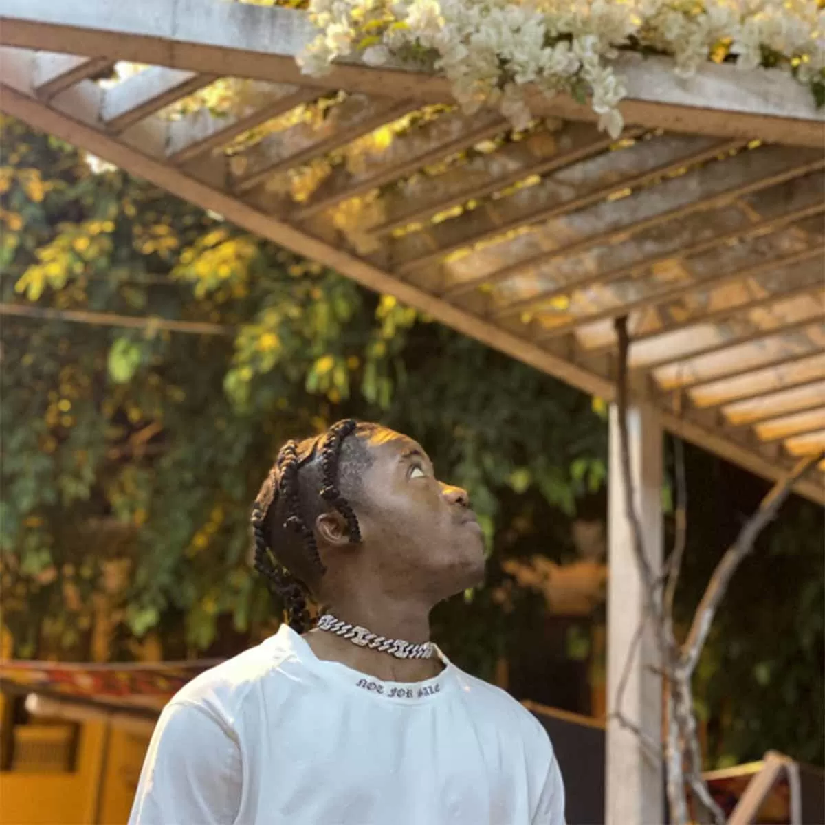 Ricardo Modizo – Ame Agora